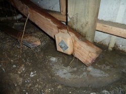 damp subfloor